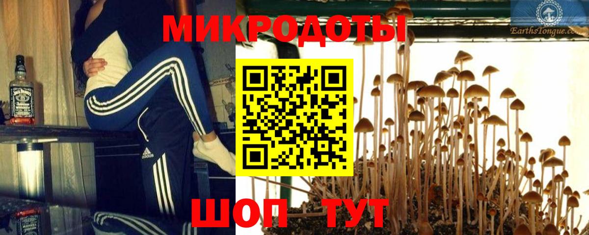 Псилоцибиновые грибы ЛСД Туапсе