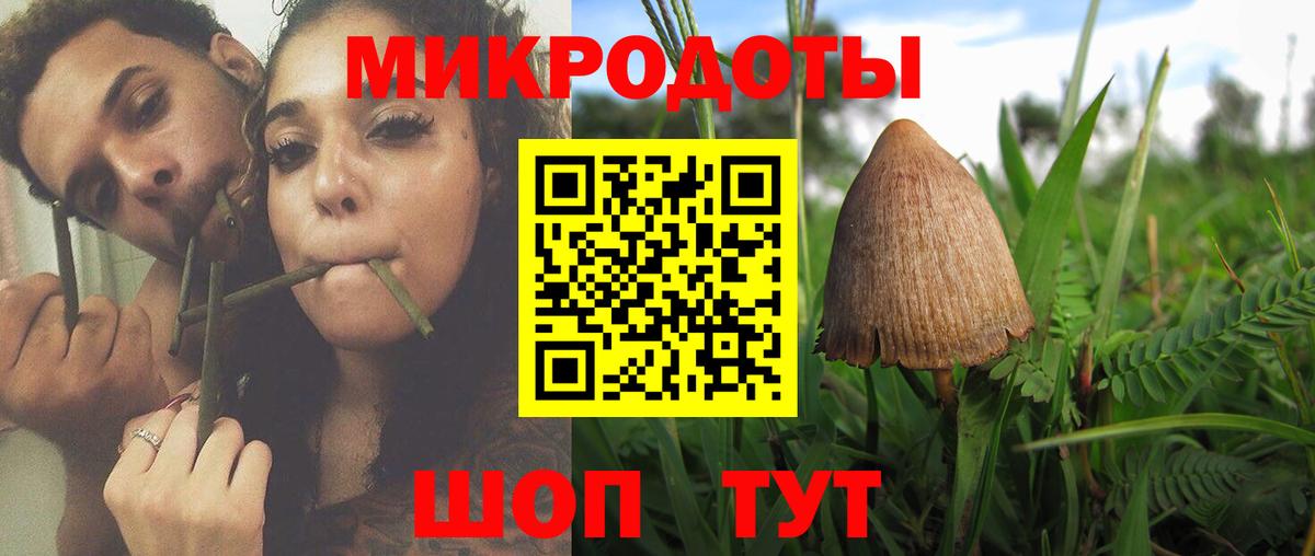 где найти   Вход с VPN  Галлюциногенные грибы MAGIC MUSHROOMS  Туапсе  Псилоцибиновые грибы мицелий 